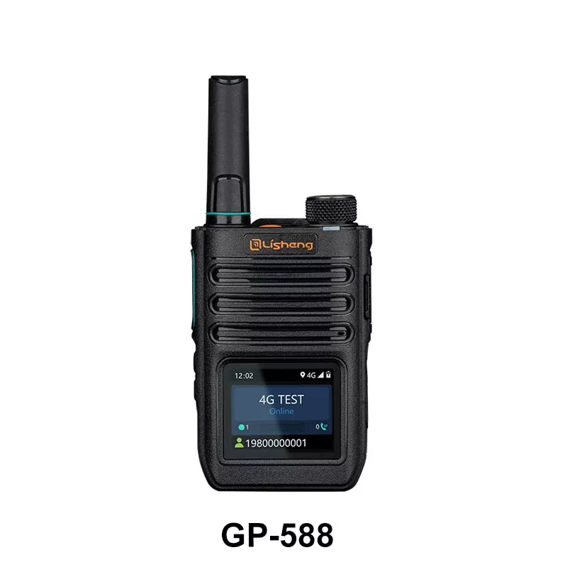 Raadio üle ip